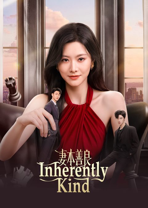妻本善良海报